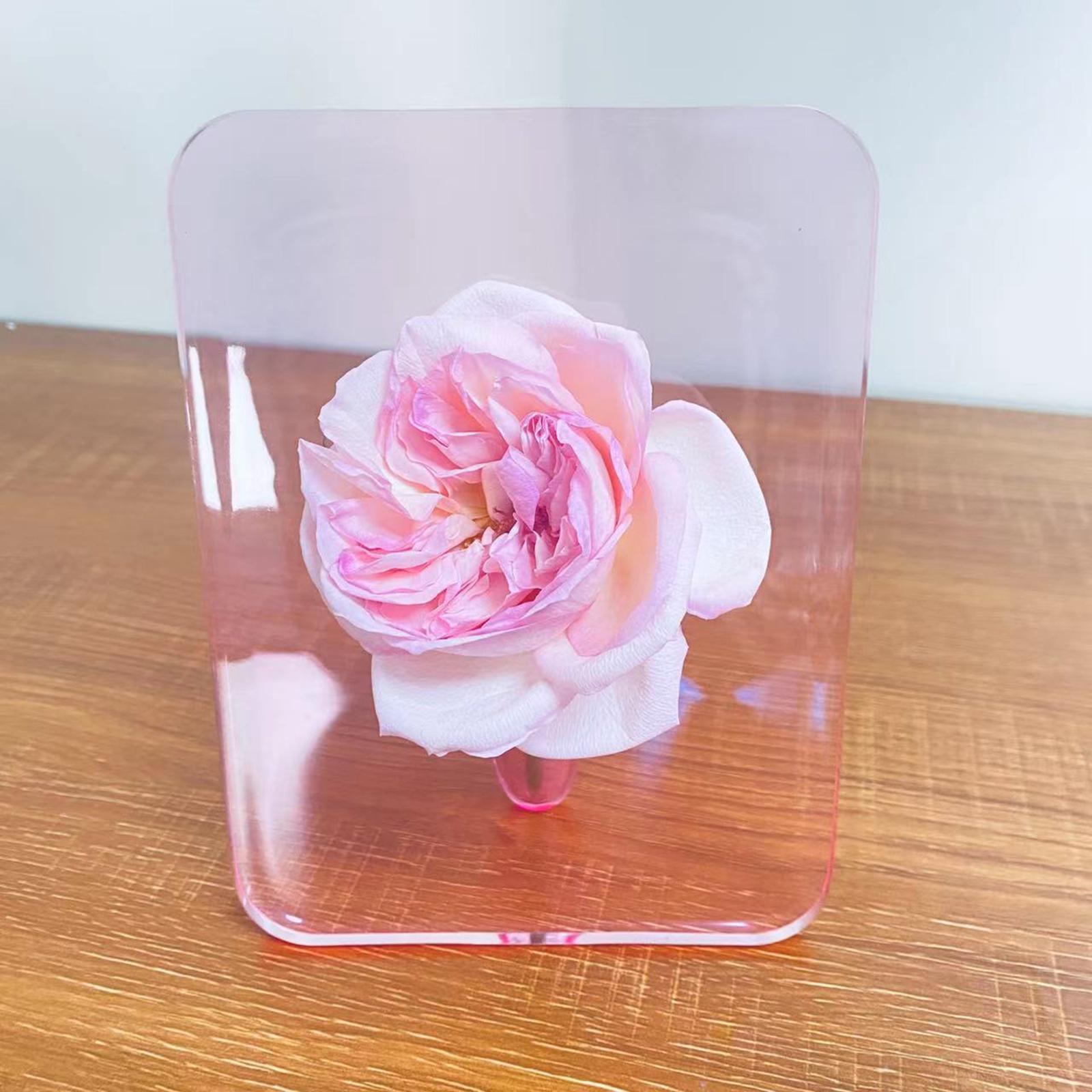Glass Flower Vase Nordic Transparent Decorative Art Vases Floral Arrangement Pink