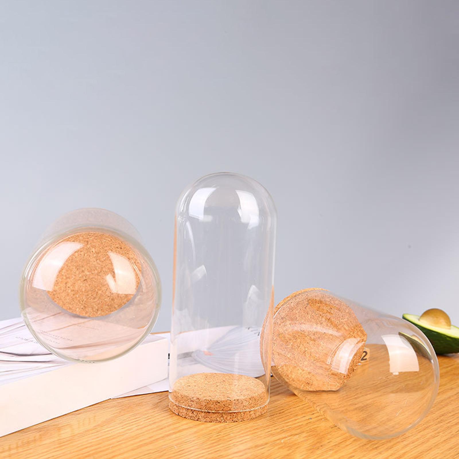 Glass Dome Display Cloche Bell Jar Display Dome Case for Office Wedding Home 9cmx12cm