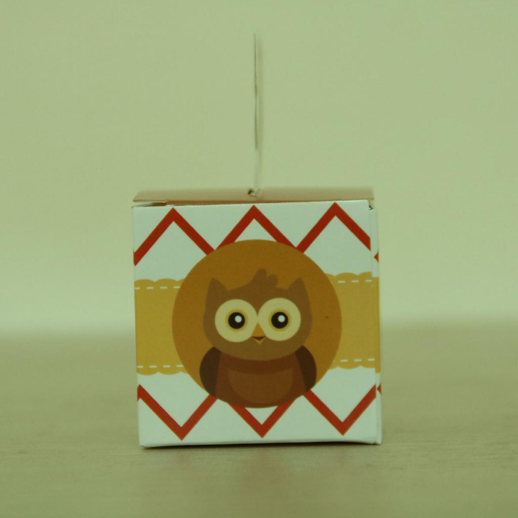 Born To Be Wild Jungle Safari Owl Animal Candy Box Baby Shower Party Favors