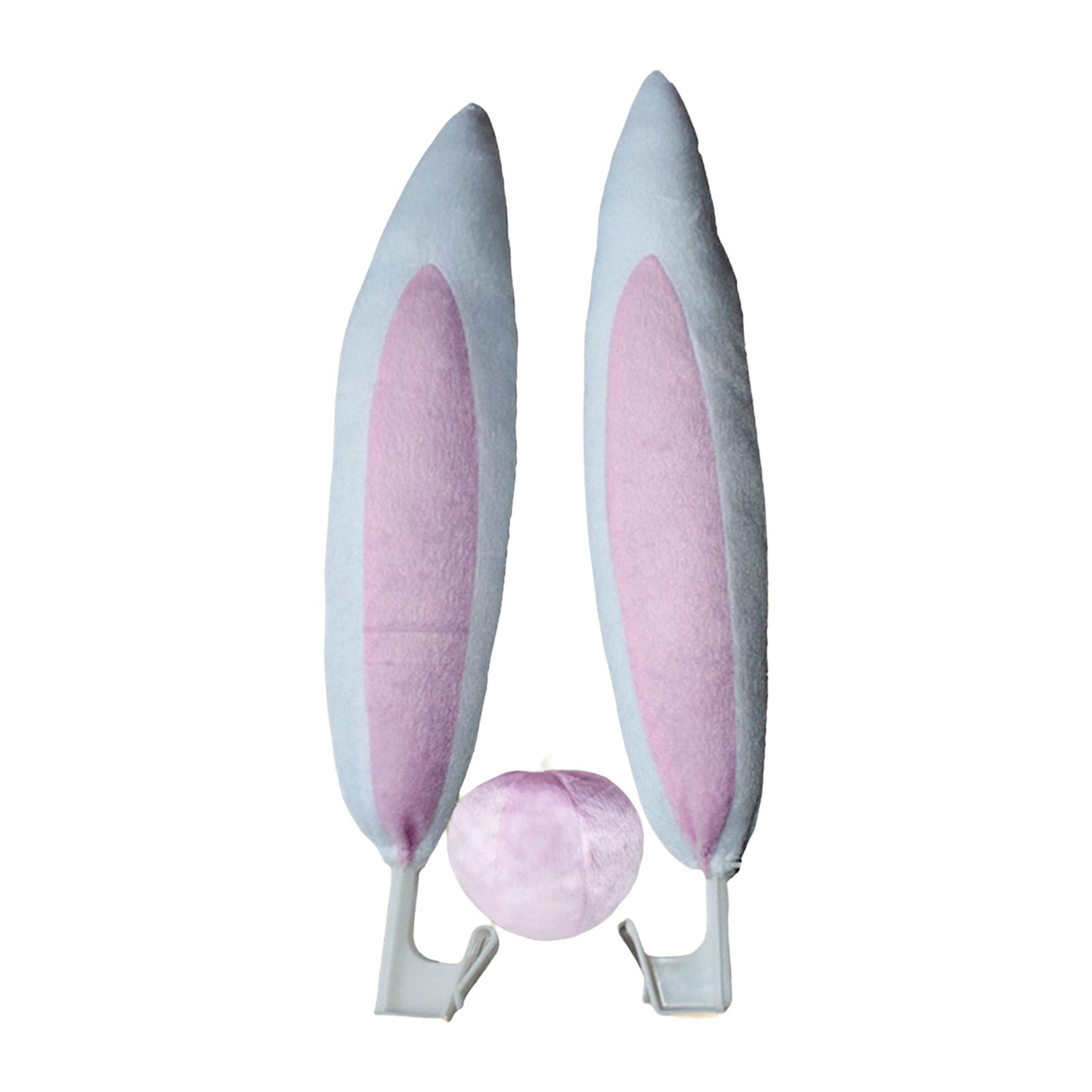 Car Bunny Ears Set