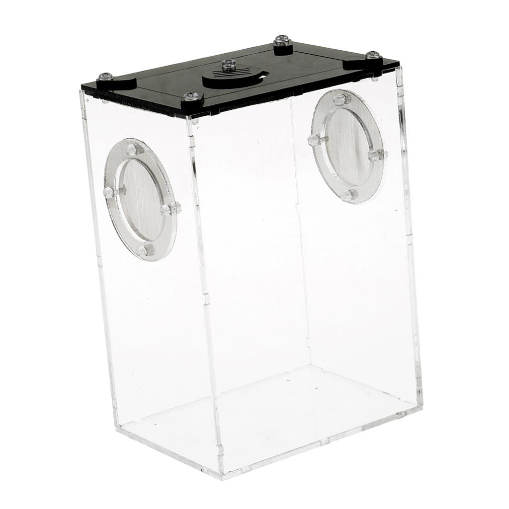 Pet Reptile Breeding Feeding Box Transport Case Feeding Hatching Tank