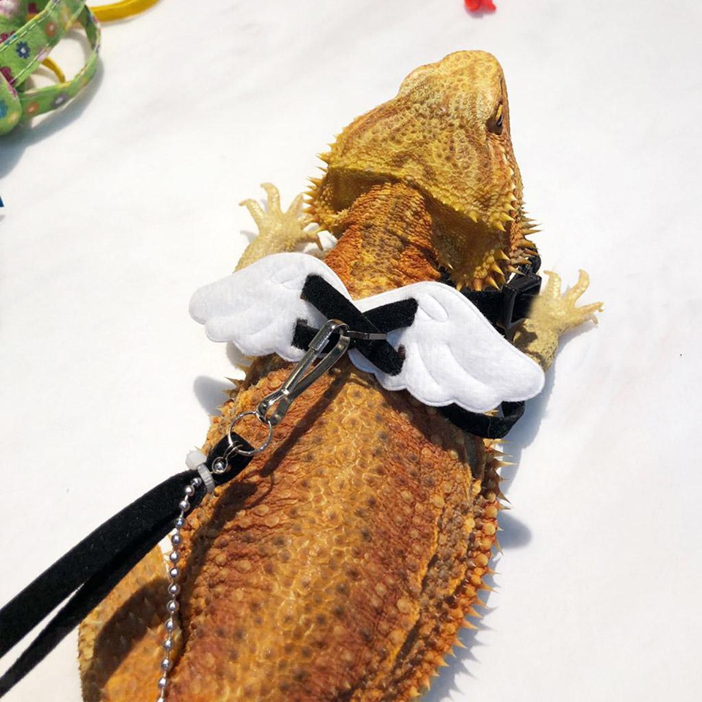 Bearded Dragon Reptile Lizard Gecko Tortoise Adjustable ...
