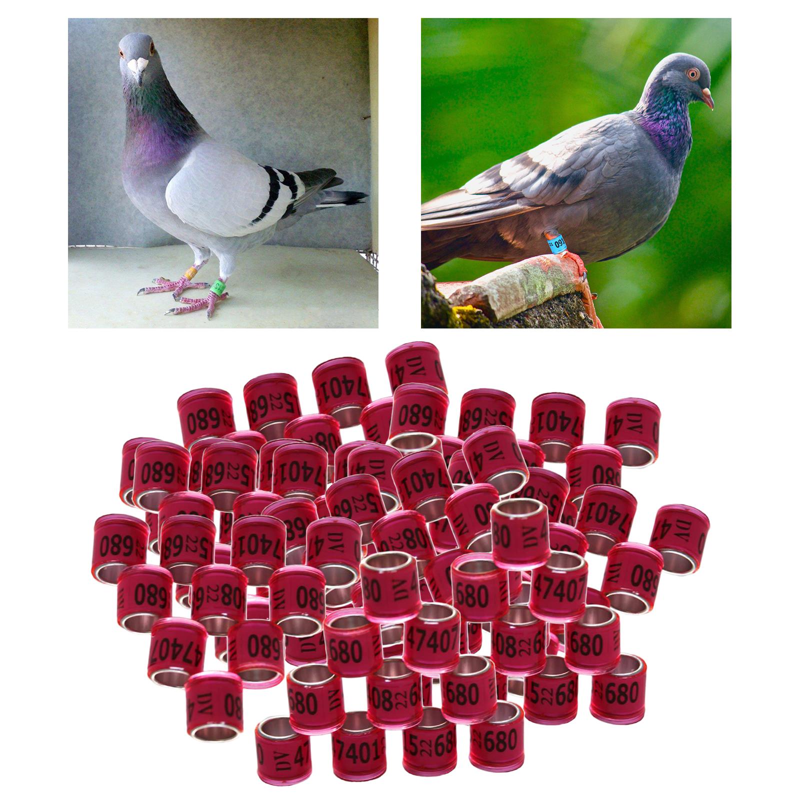 100Pcs 2022 Aluminium Dove Racing Pigeon Foot Rings Bands 8mm Pink