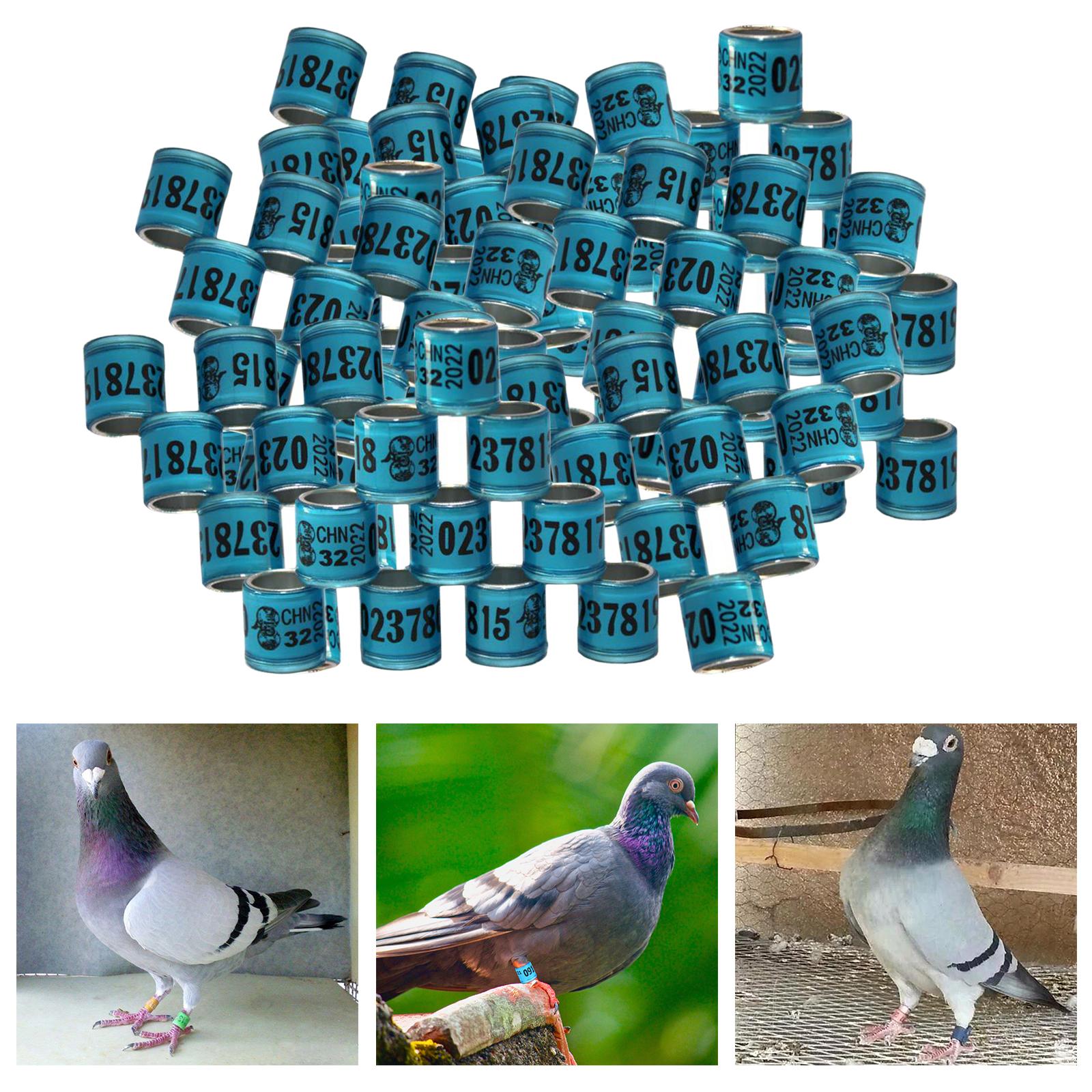 100Pcs 2022 Aluminium Bird Racing Pigeon Foot Rings Bands 8mm Blue