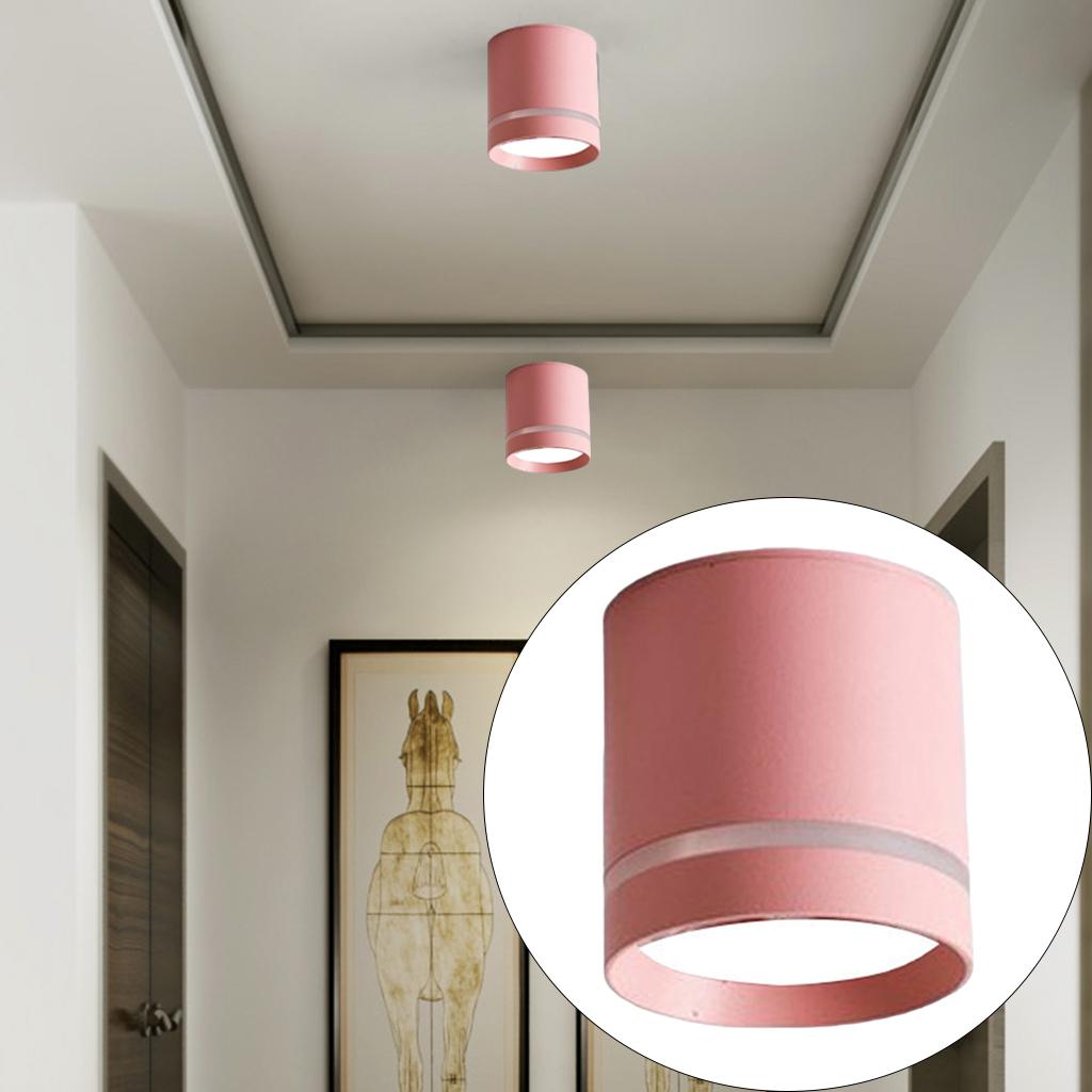 Cylinder Ceiling Light LED Downlight Fixtures Office Bedroom Lighting Pink