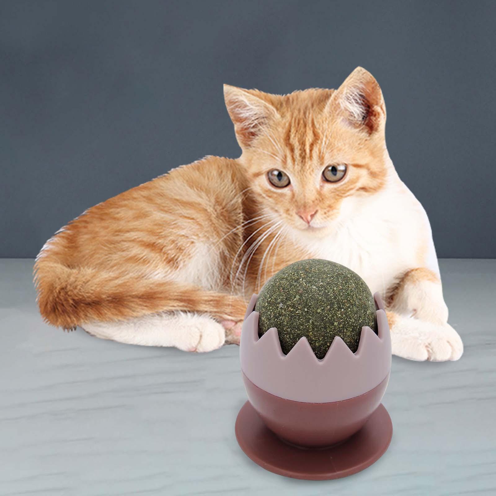 cat Snacks Catnip Adhesive Treats Toy ball Wall Mount Interactive Red