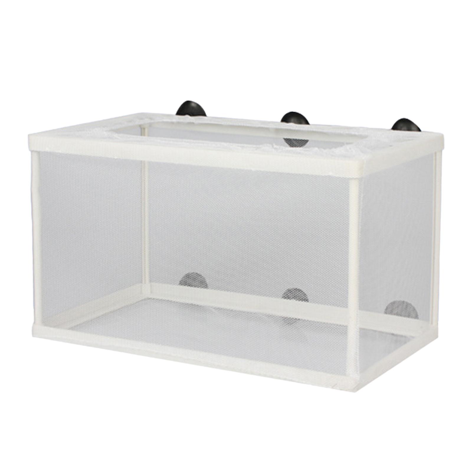 Fish Breeder Box