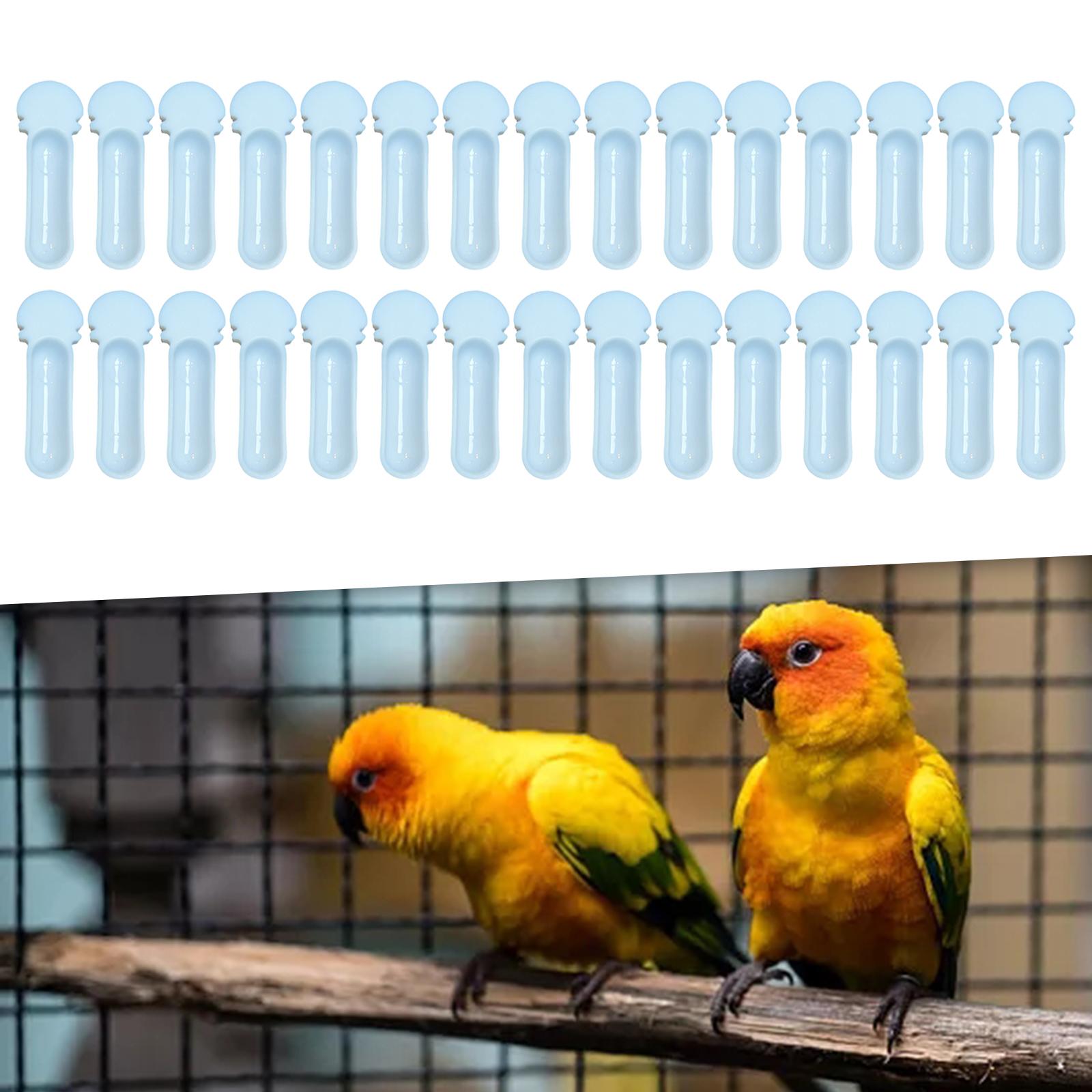 Bird Feeding Box Feeding Station Bird Treat Feeders Hanging Bird Cage Feeder