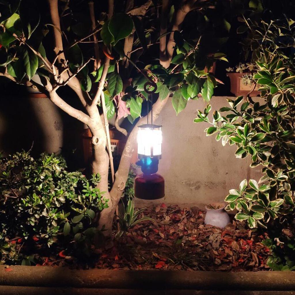 Outdoor Double Mantle Gas Lantern Lamp Propane Light Camping Hiking