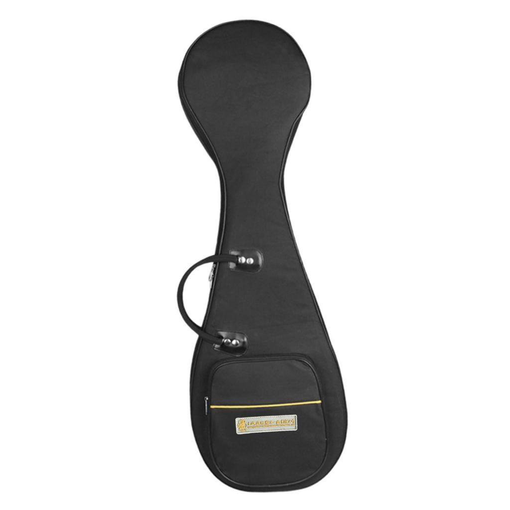 Chinese Lute Case Soft Padded