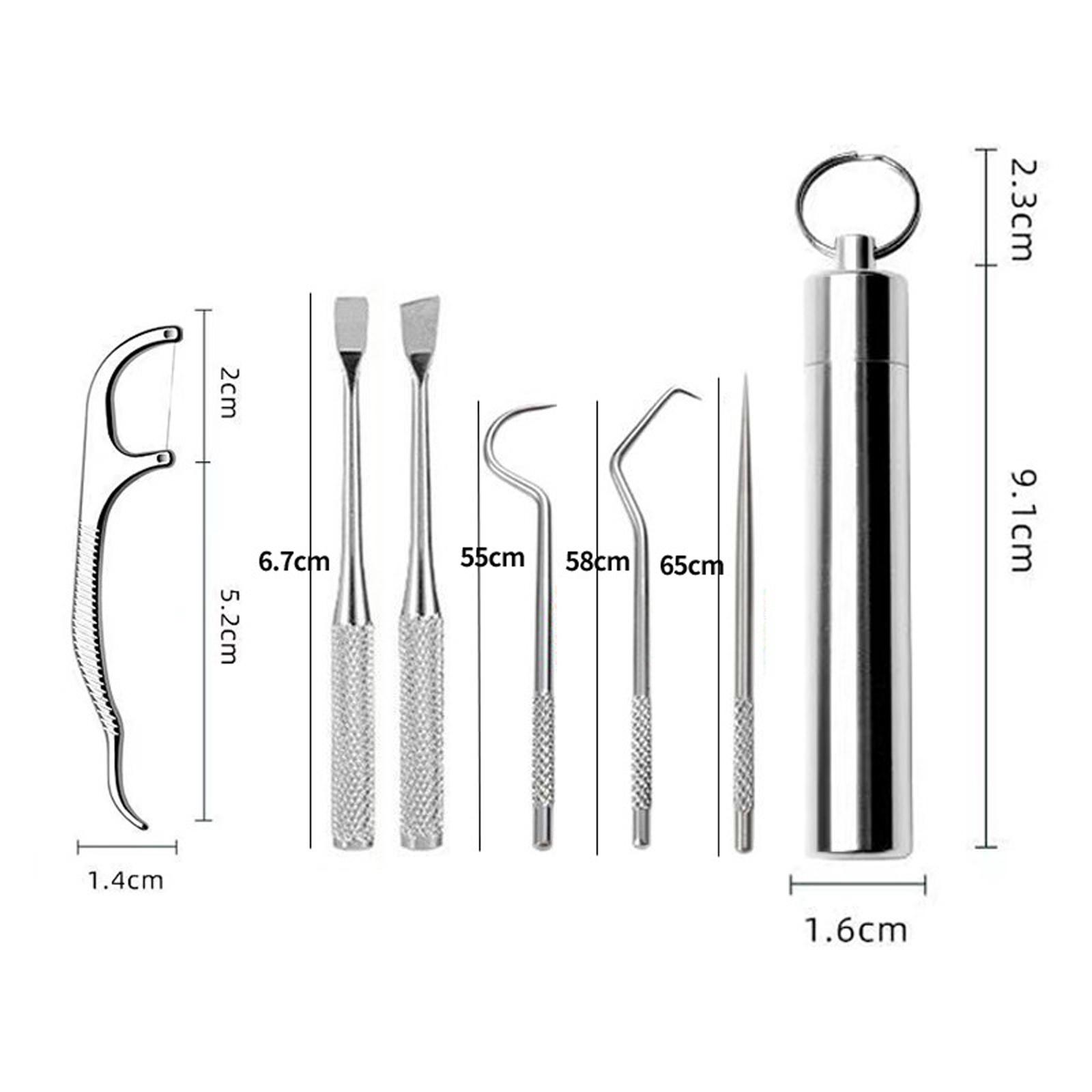 6xStainless Steel Toothpick Kit with Waterproof Holder for Daily Use Traveling