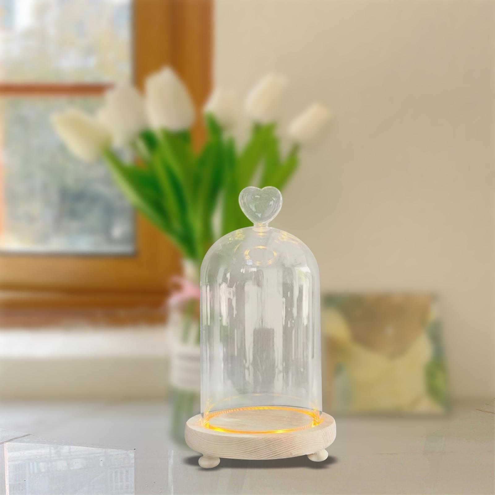 Glass Cloche Dome Eternal Flowers Glass Domes Showcase Transparent Dome Cloche heart