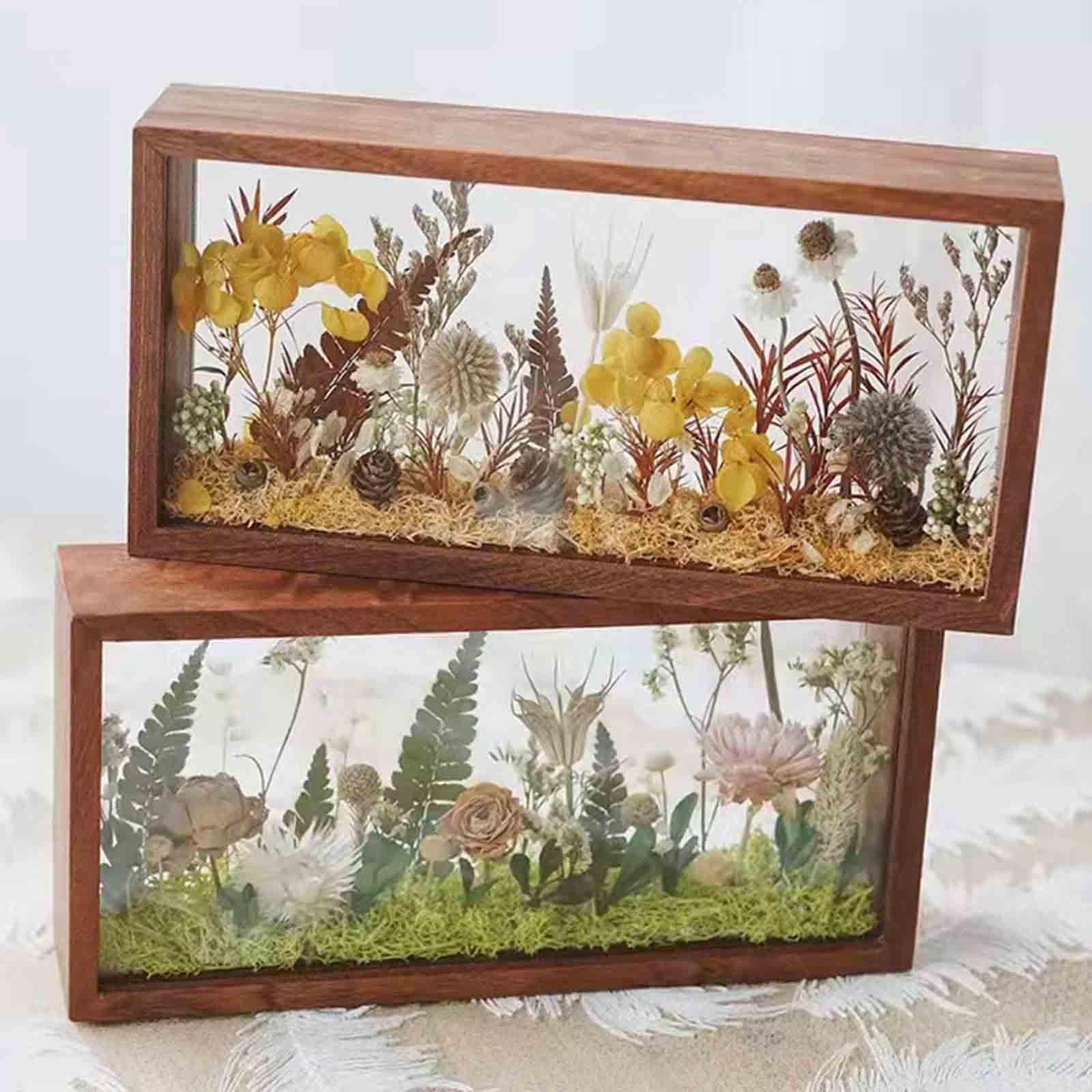Shadow Box Frame Floating Picture Frame for Handicrafts Tickets Keepsake