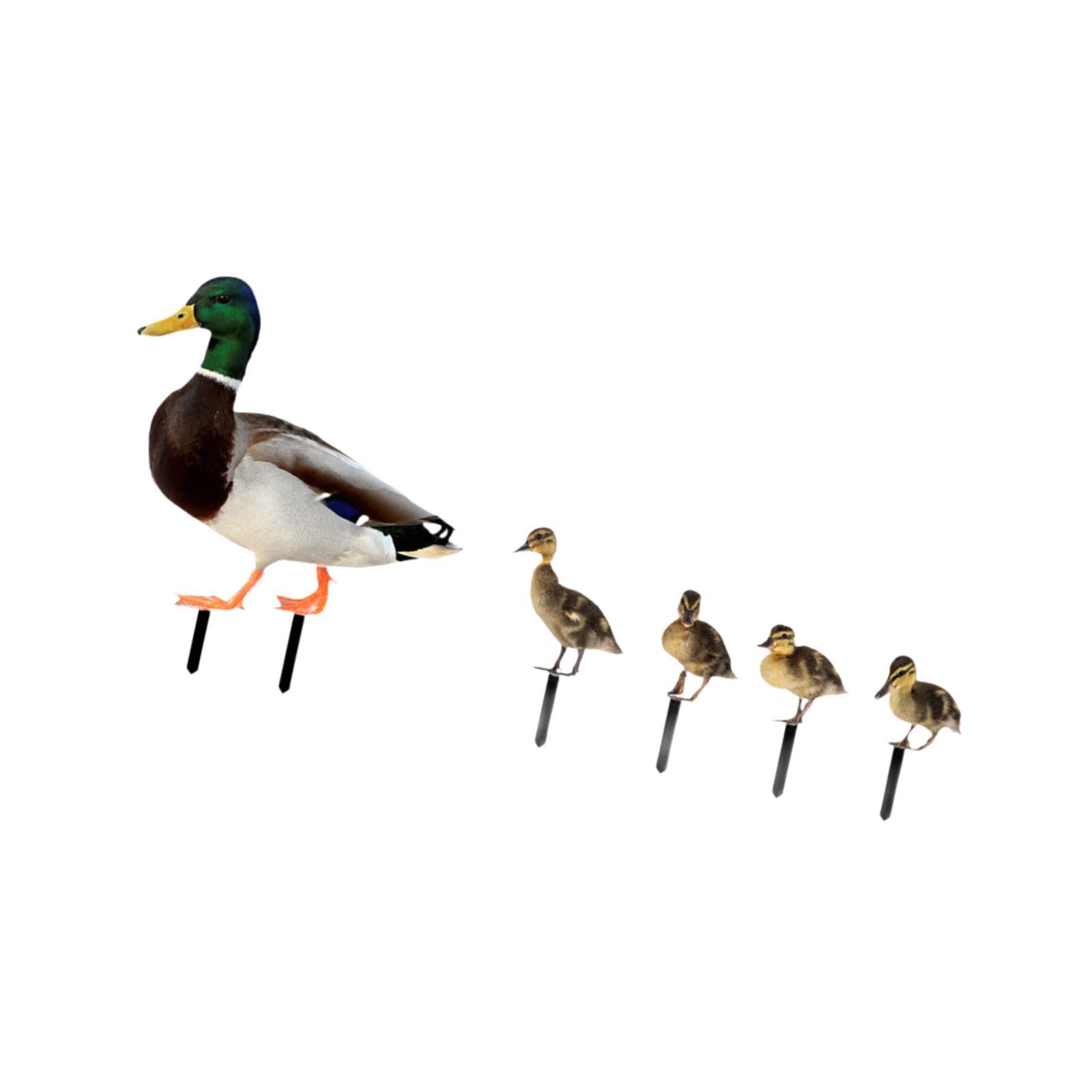 Duck Garden Stakes