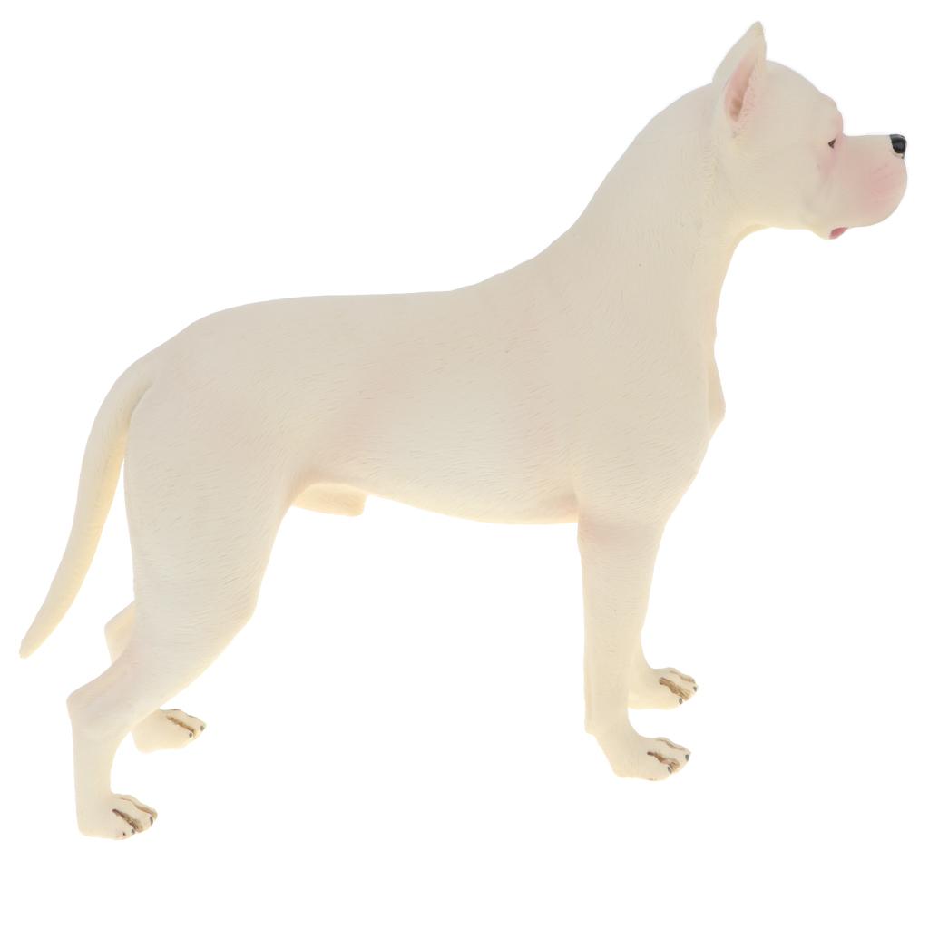 bull terrier proof toys