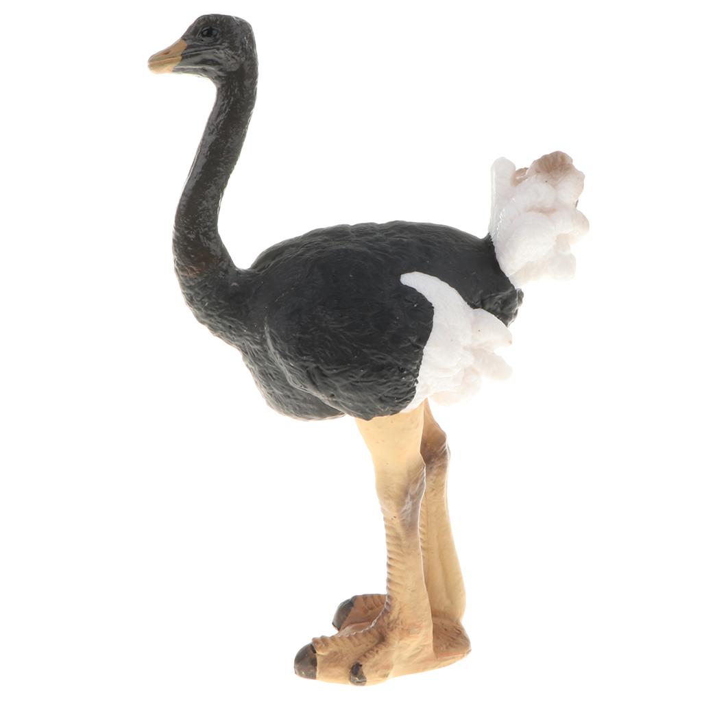 2pcs Plastic Wild/Zoo/Farm Ostrich Bird Animal Model Figure Educational ...