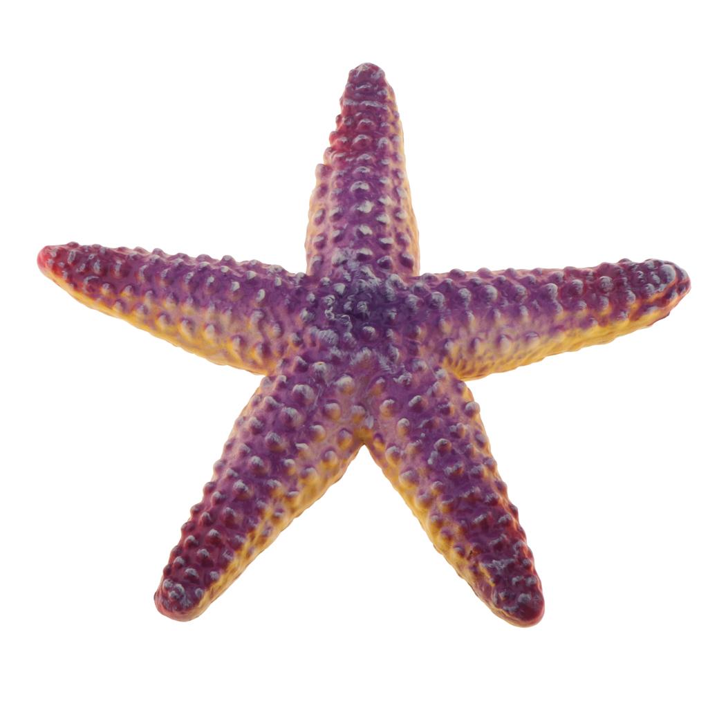 Realistic Static Ocean Animal Model Toy Kids Gift Starfish