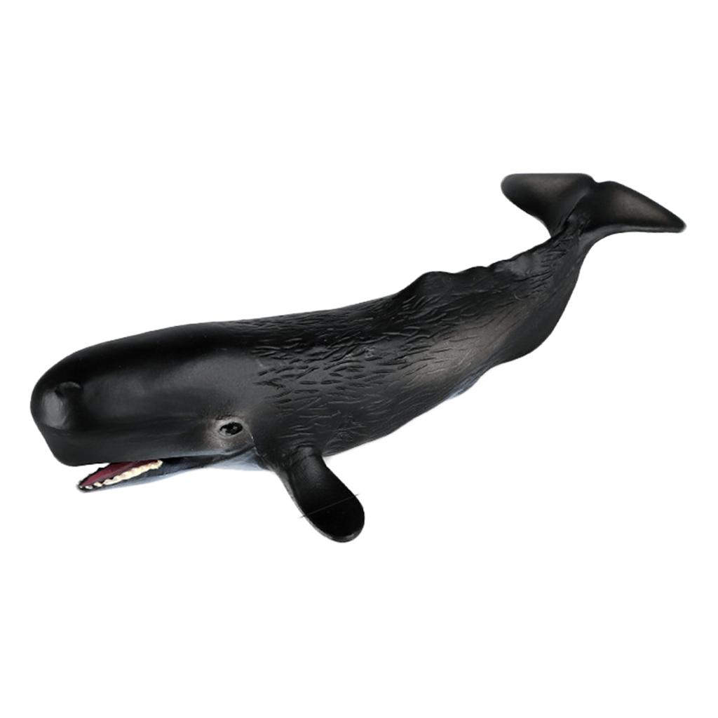 Ocean Animal Figures