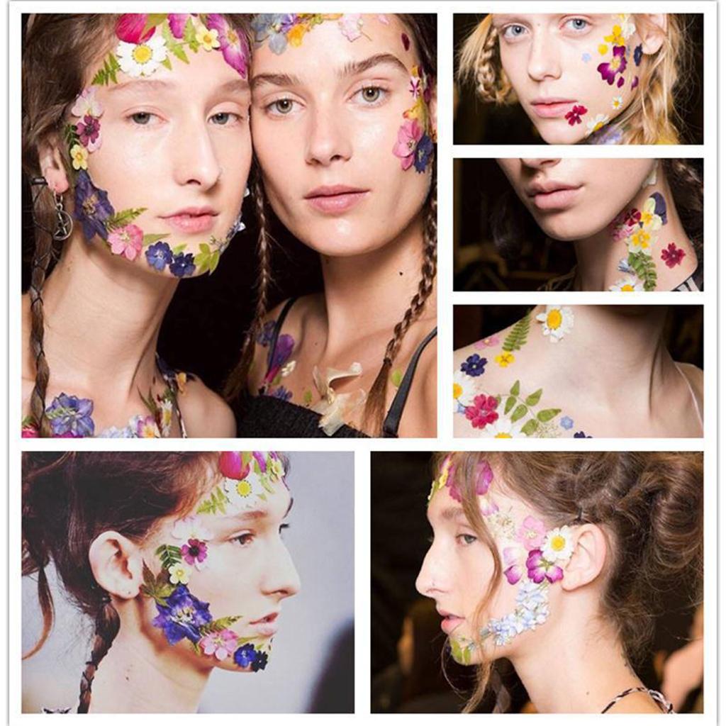 72Pc Natural Real Pressed Dried Flowers DIY Scrapbook Light Blue