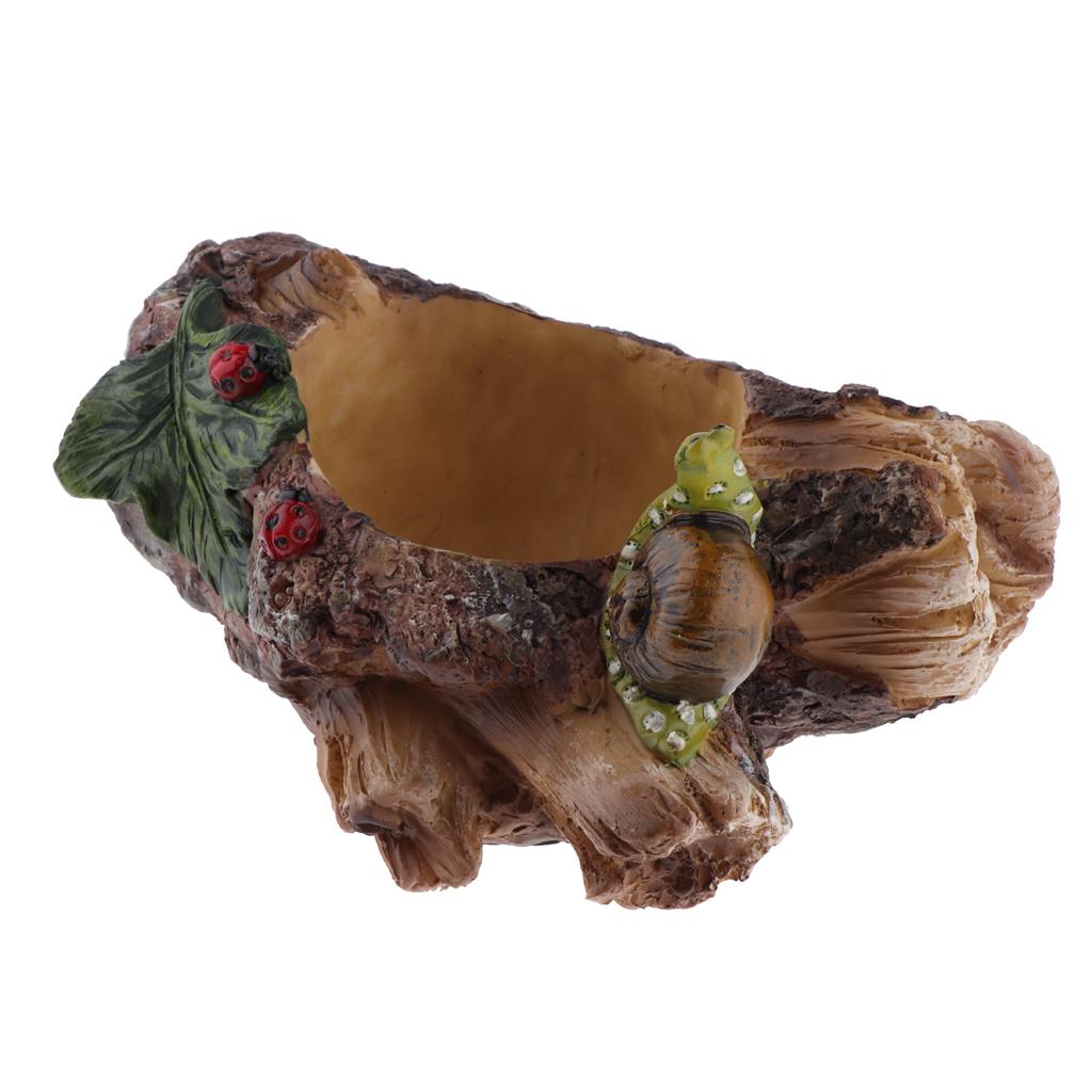 Flower Plants vase Original Cute Succulent Plants Planter Flower Plants vase Original Cute Succulent Plants Planter