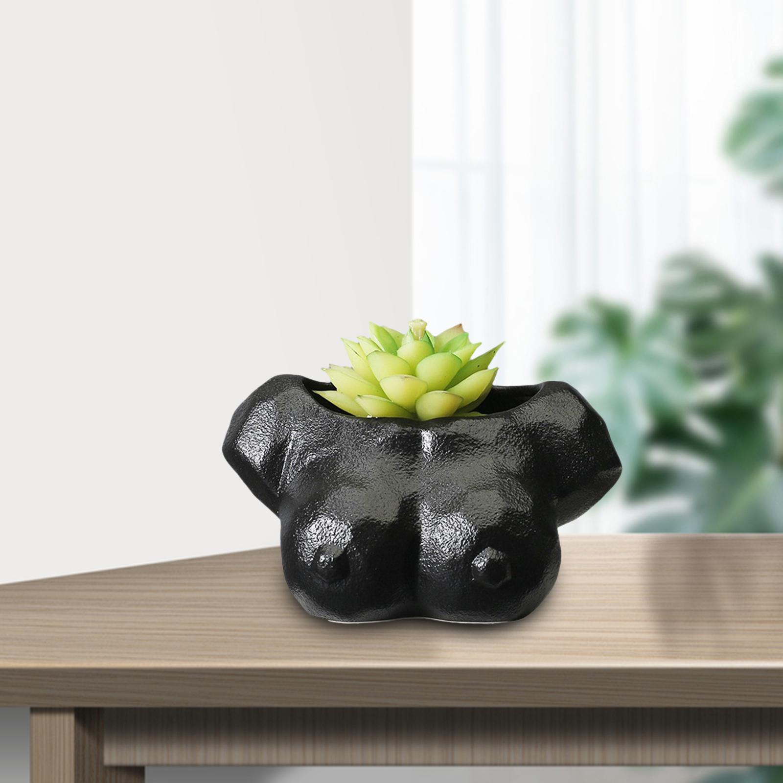 Abstract Art Flower Planter Pot Garden Plants Cactus Succulent Pots Black