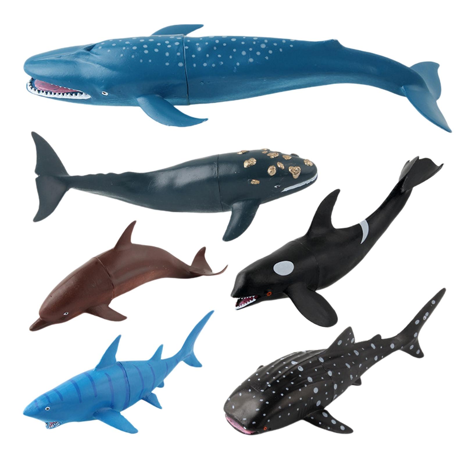 Plastic Marine Animal Model