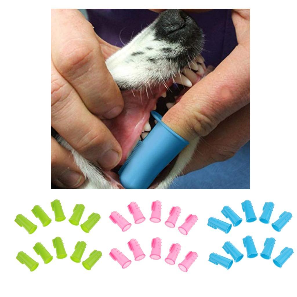 10pcs Hundezahnbürste Finger Zahnbürste Zahnpflege für Hund Katze eBay