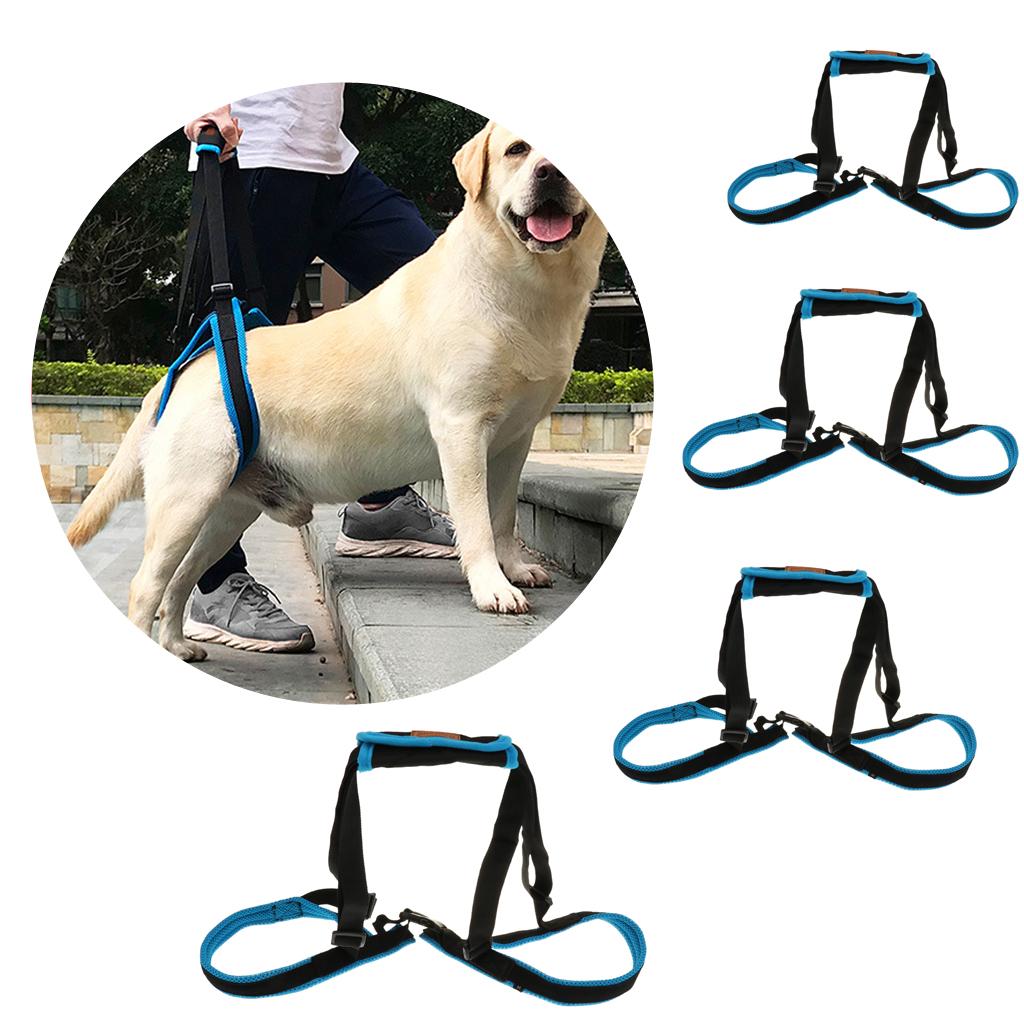 Hunde Tragehilfe Hinterbein Unterstützung Sling Rehabilitation Geschirr