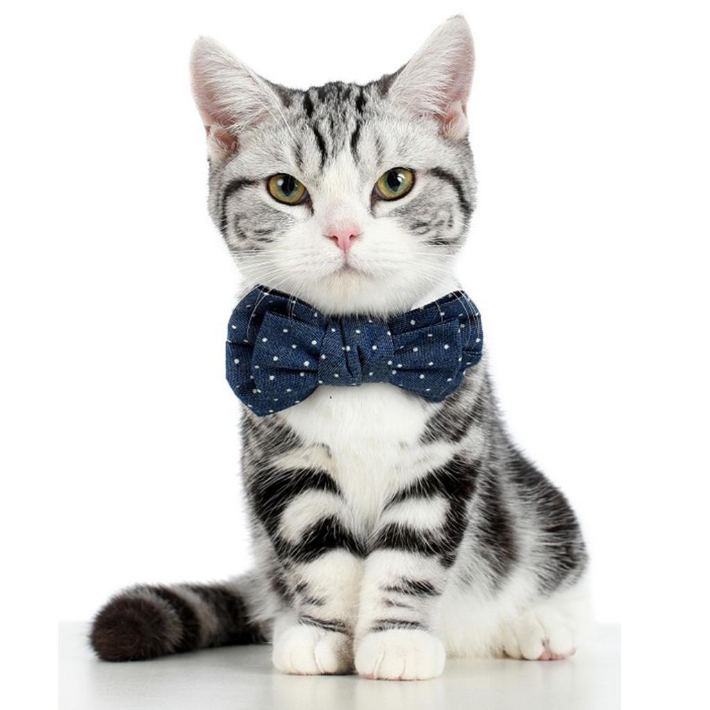 Cat Bowtie Adjustable Collar Dog Necktie Bow tie Pet ...