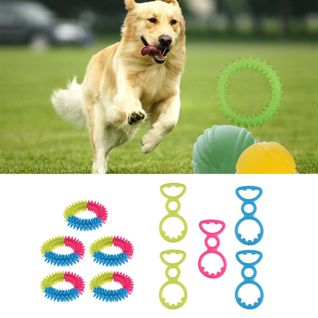 Ziyonix Hund Geburtstag Spielzeug Set - Quietschende Torte & Knochen Für Kleine Hunde