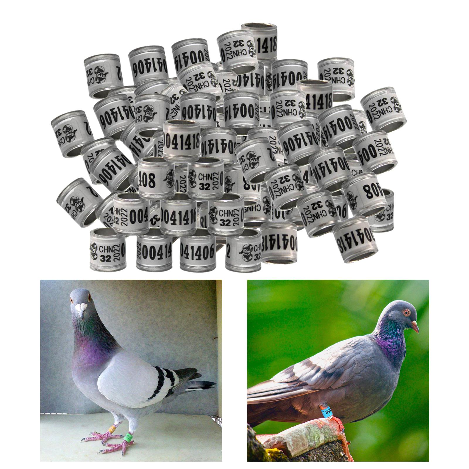 100Pcs 2022 Aluminium Bird Racing Pigeon Foot Rings Bands 8mm White