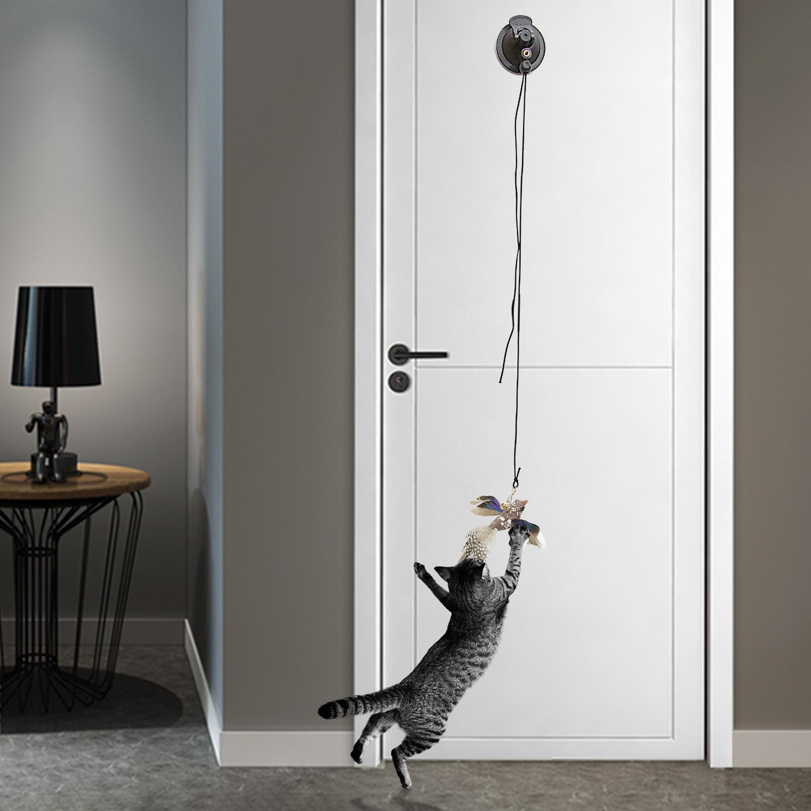 Interactive Cat Toys Teaser Stick Cat Feather Wand Toy Long Tailed Warbler