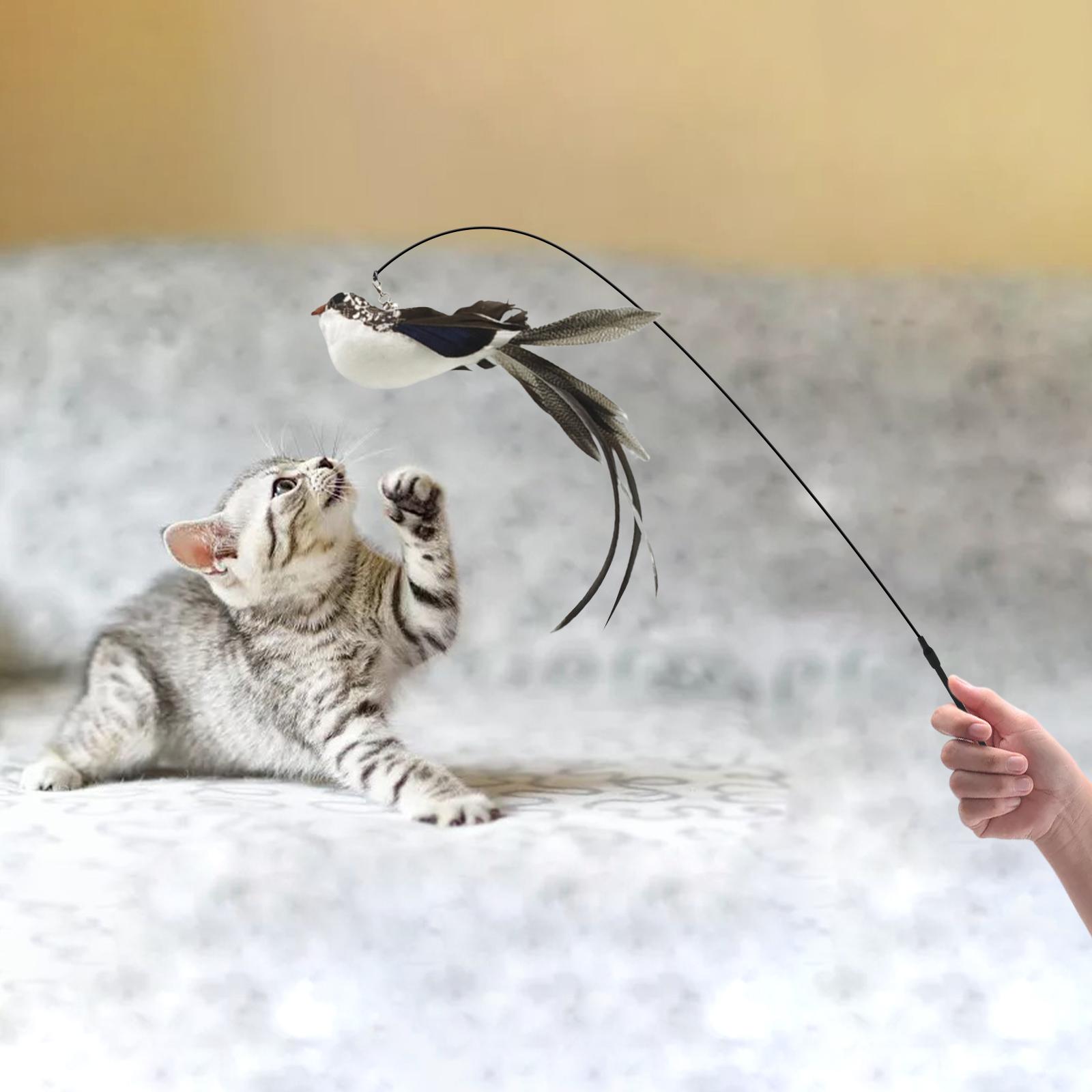 Interactive Toys Cat Teaser Catcher Cat Feather Wand Toy long Tailed Warbler