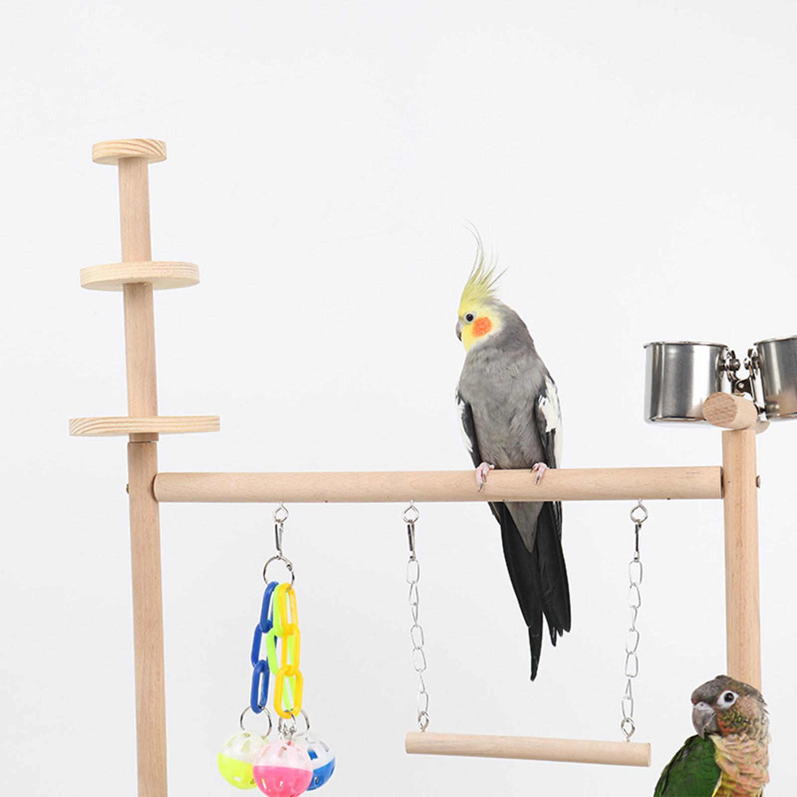 Parrot Bird Playground Parrot Playstand for Finch Budgerigar Parakeet Parrot