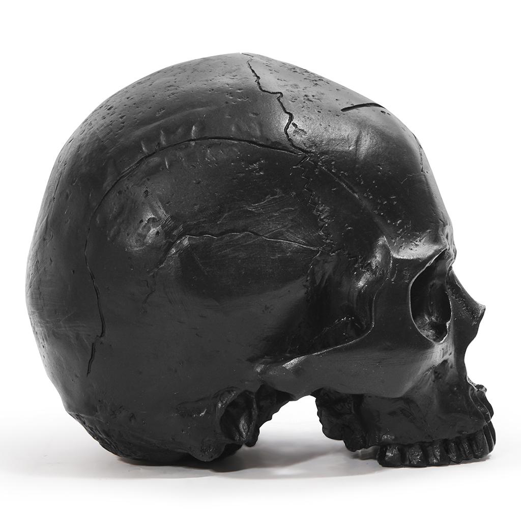 Realistic Human Skeleton Head Bone Skull Model Statue Decorative Halloween Black