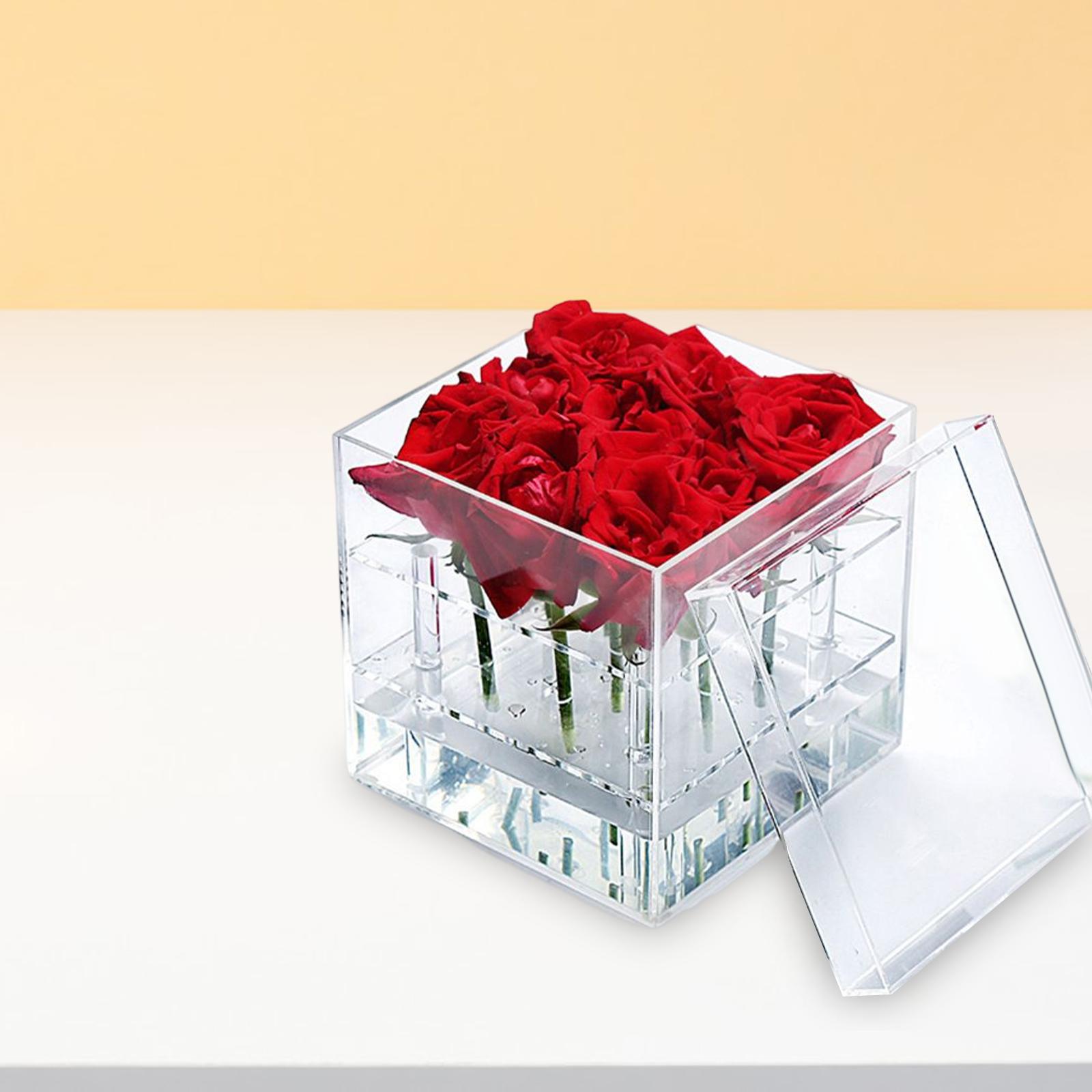 Acrylic Flower Vase Water Holder Desktop Propagation Plant Container Shelf 12x12x15cm 4 Holes