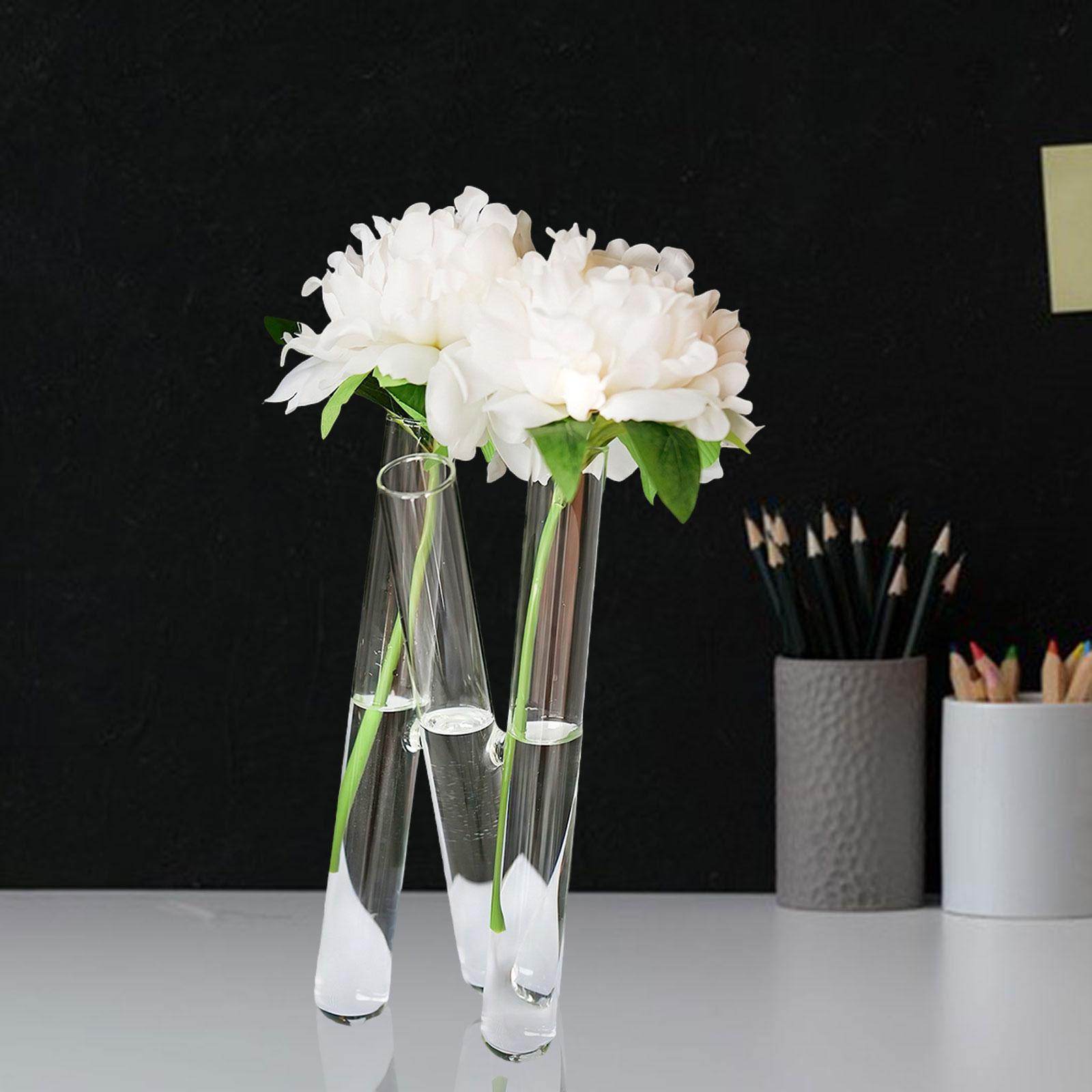 Test Tube Flower Vase 3 Test Tubes Art for Floral Arrangement Indoor Bedroom