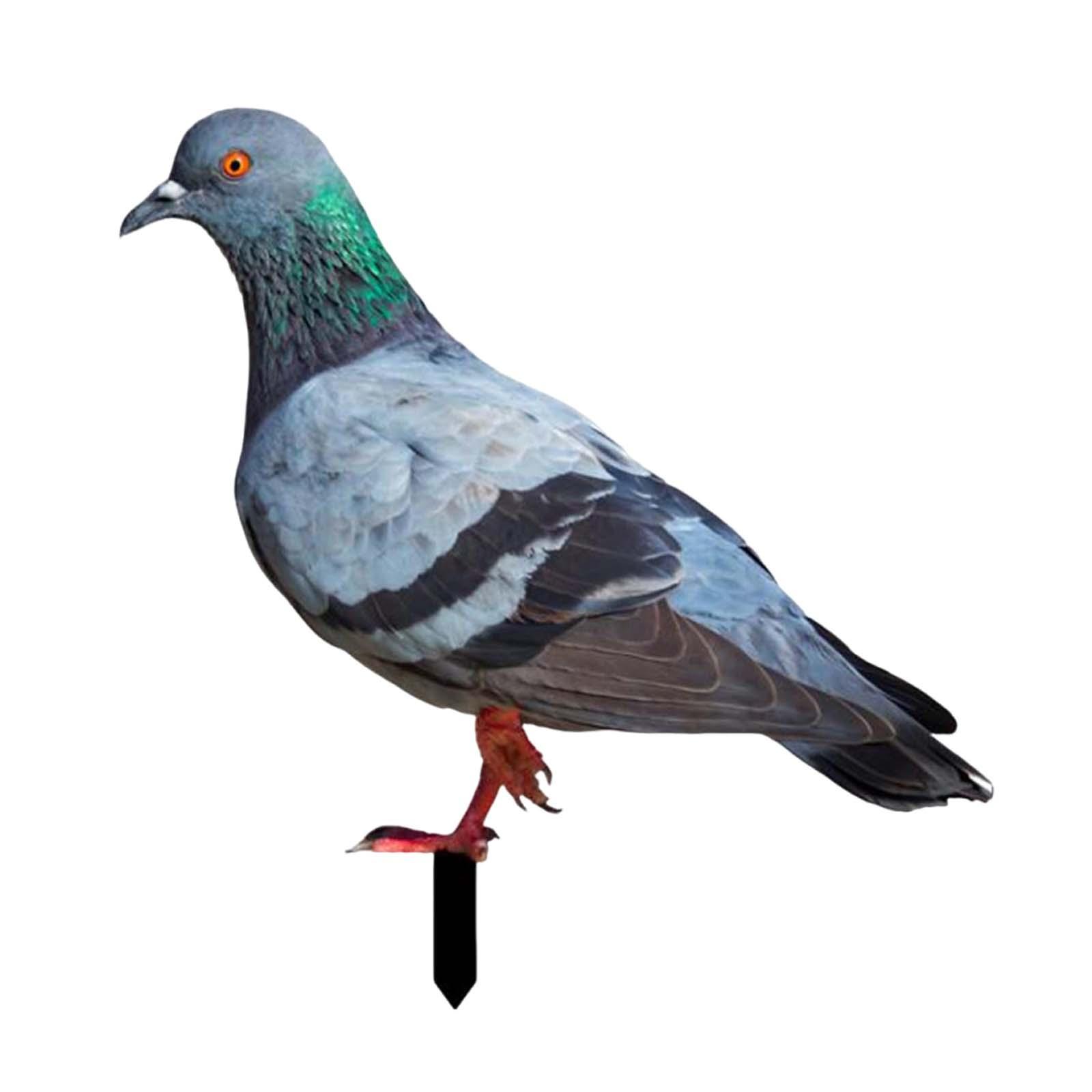 Pigeon Garden Stake