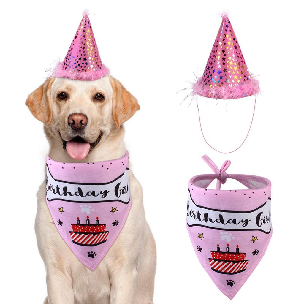 Haustier Hund Geburtstag HundeHalstuch Bandana/Schal und Hat, für