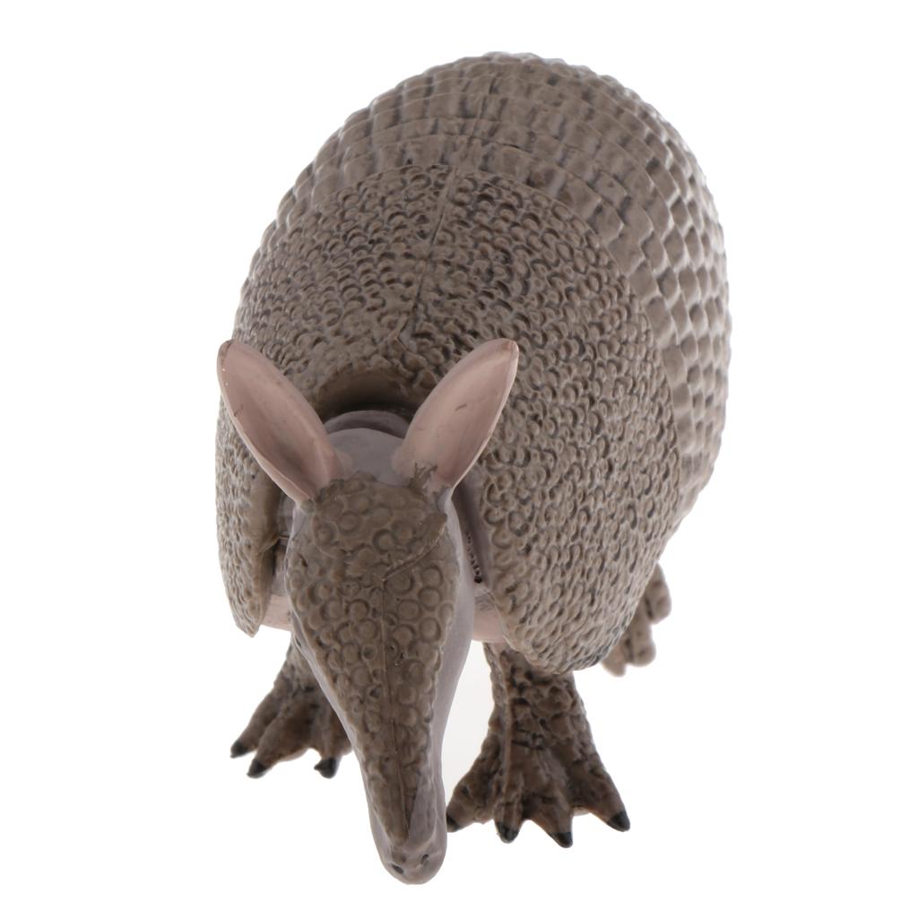 Static Animal Model Action Figure Toy for Kids and Adults Armadillo