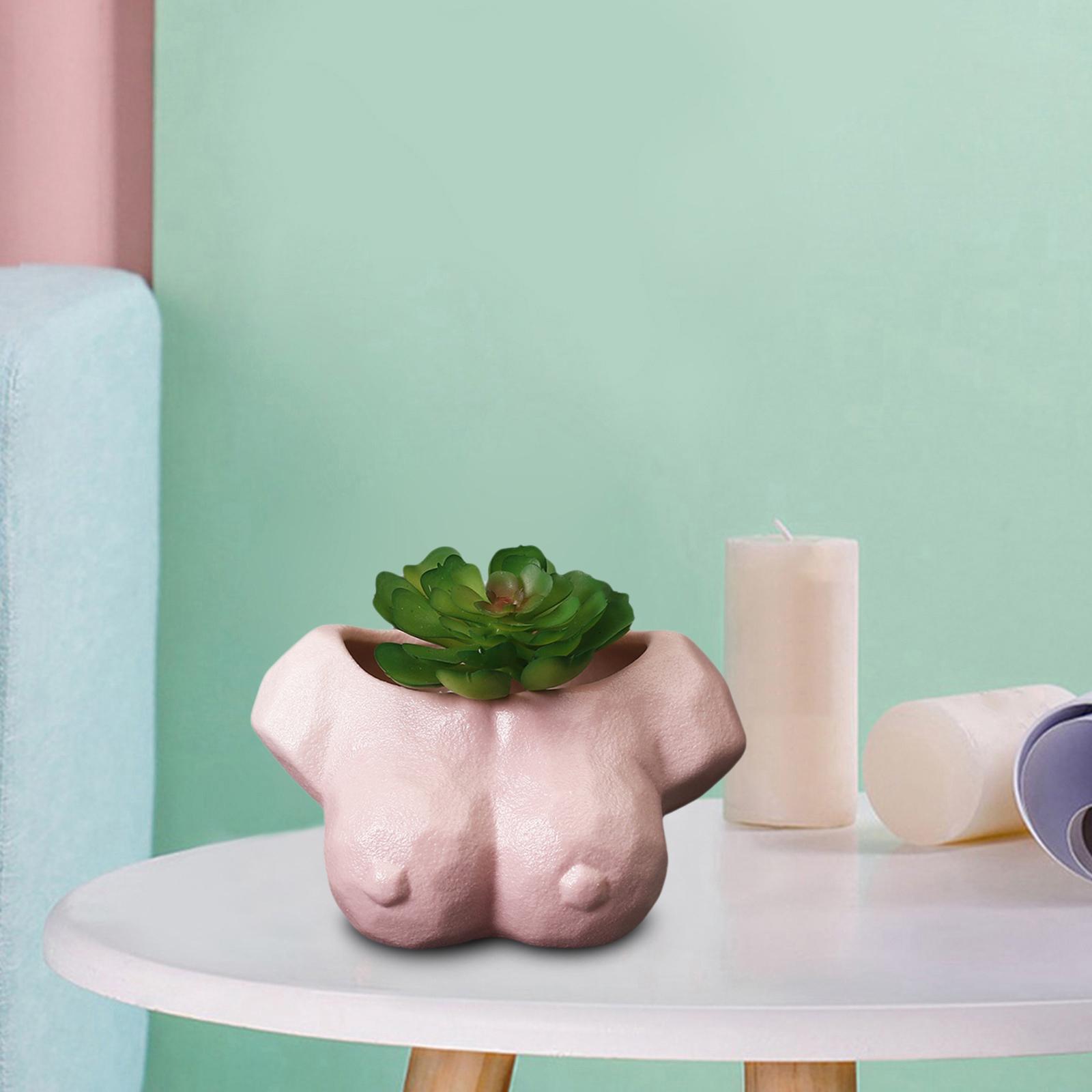 Abstract Art Flower Planter Pot Garden Plants Cactus Succulent Pots Pink