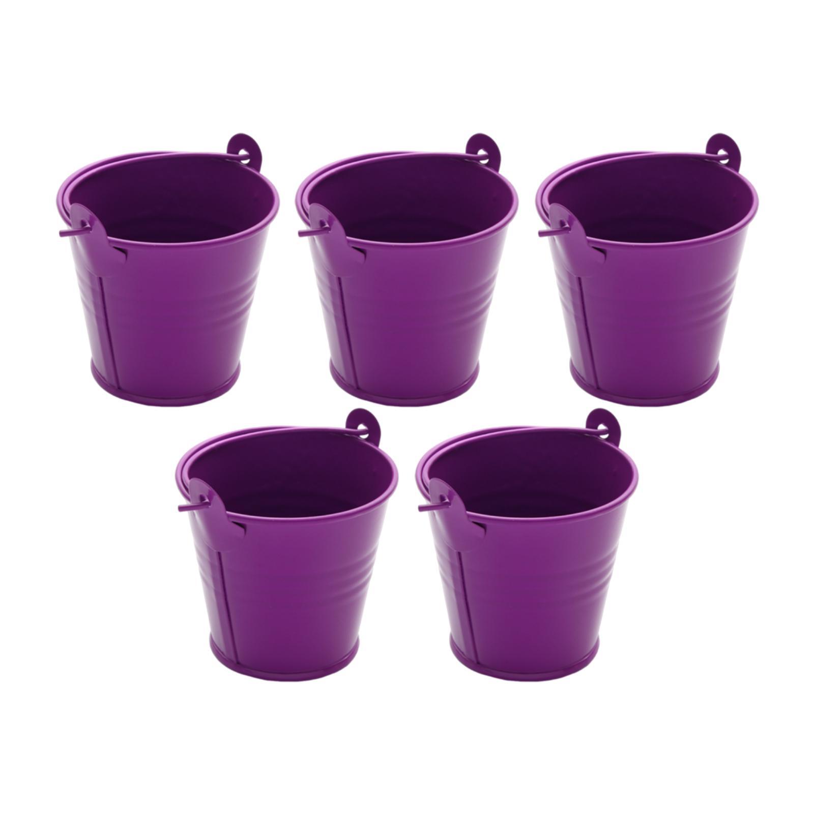Metal Buckets Purple