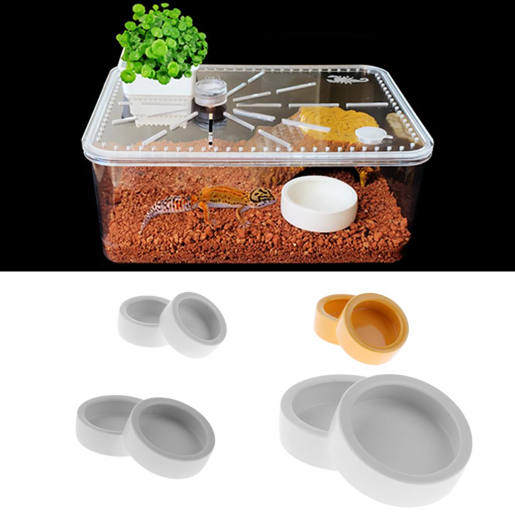 2Pcs Smooth Ceramic Antiescape Worm Dish for Reptile Feeding Food