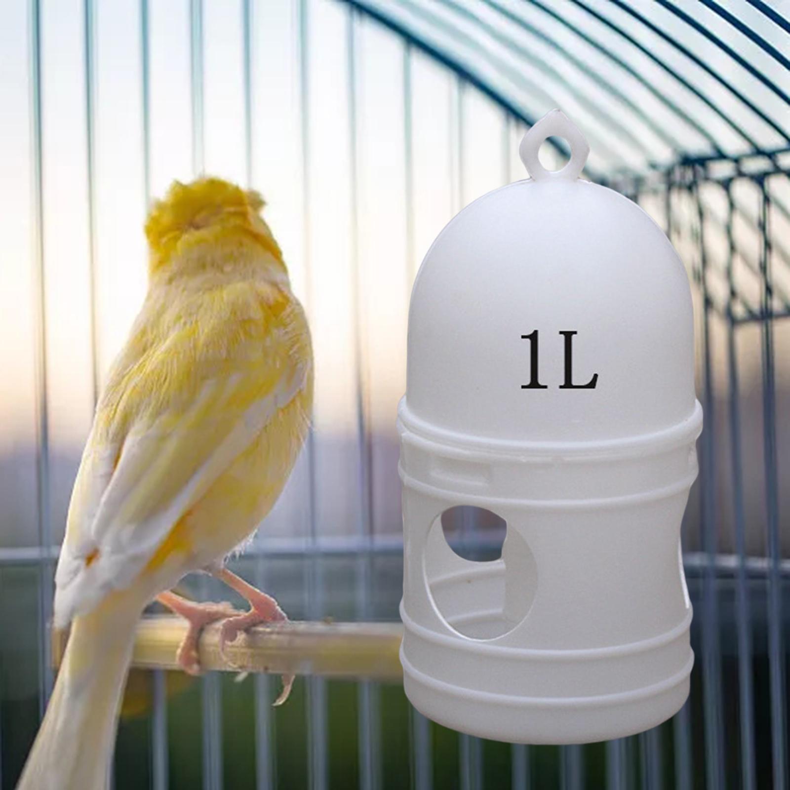 1L Pigeon Water Dispenser Bird Drinker Automatic Bird Water Feeder White