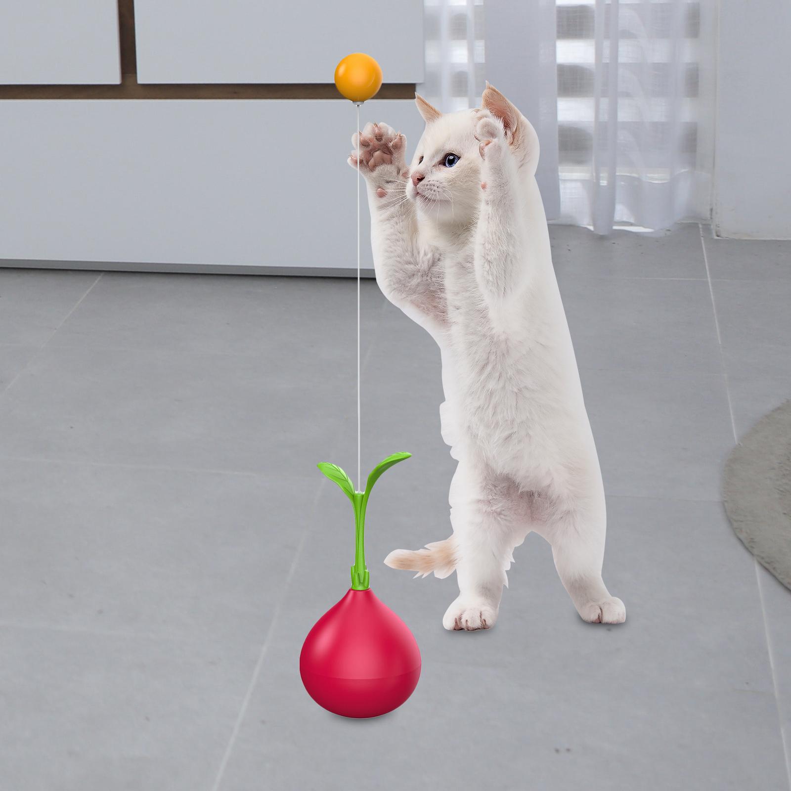 Interactive Cat Toy Ball Birthday Gift Home Catching Kitten Cat Tumbler Toys