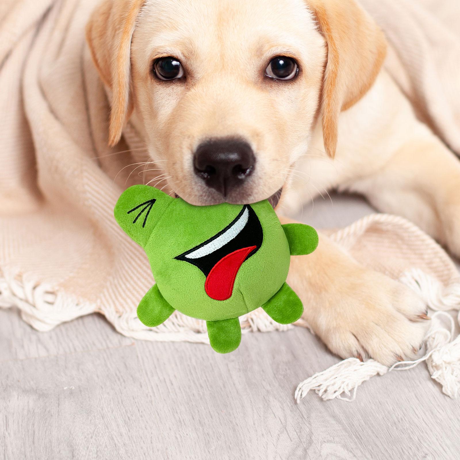 Green Frog Jumping Ball Interactive Games Pet Supplies Exercise Elastic Ball