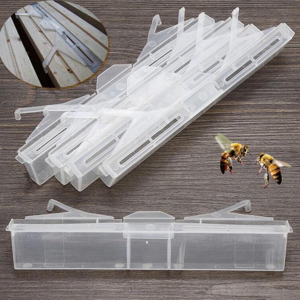 Beetle Oil Traps Blaster Plastic Baitable Reusable Beekeeping Tools 17x3cm