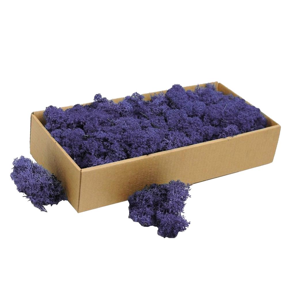 Natural Dried Reindeer Moss Treated Immortal moss Crafts DIY Floral Decor Purple