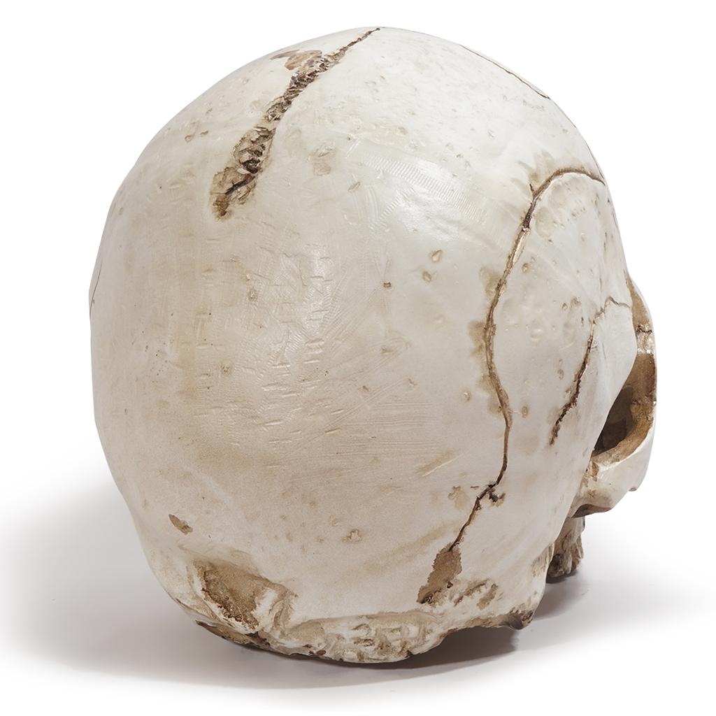 Realistic Human Skeleton Head Bone Skull Model Statue Decorative Halloween White