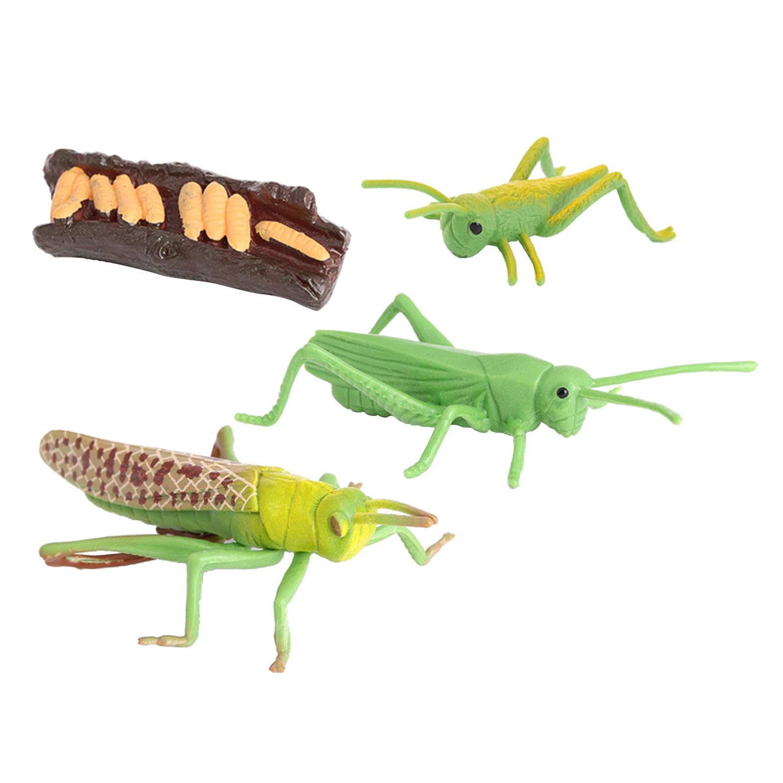 Grasshopper Growth Figures
